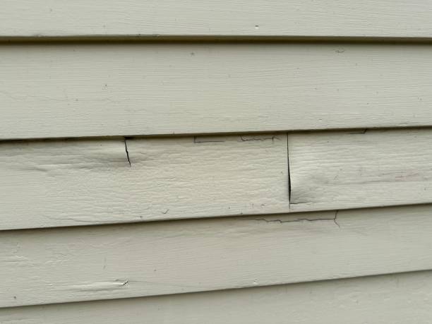 Best Construction Debris Removal  in Laurel Hollow, NY